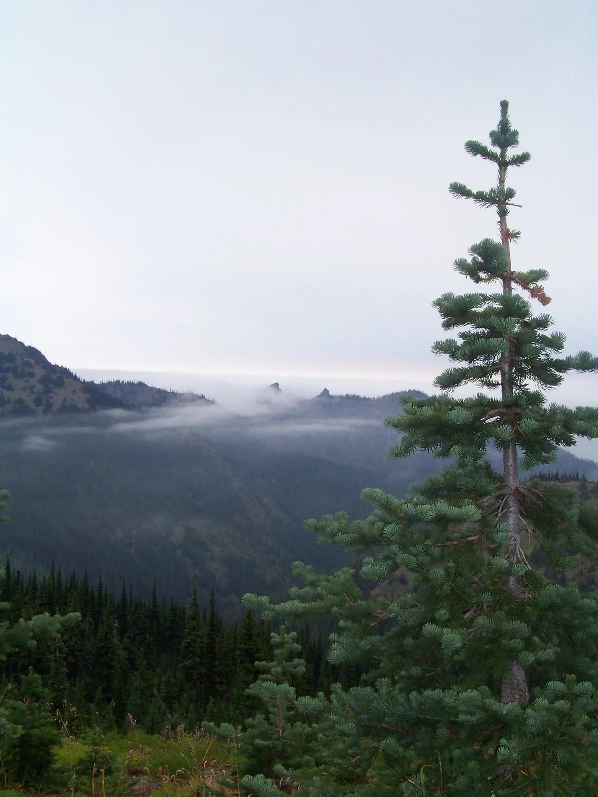 Inhaling clouds - panoramio