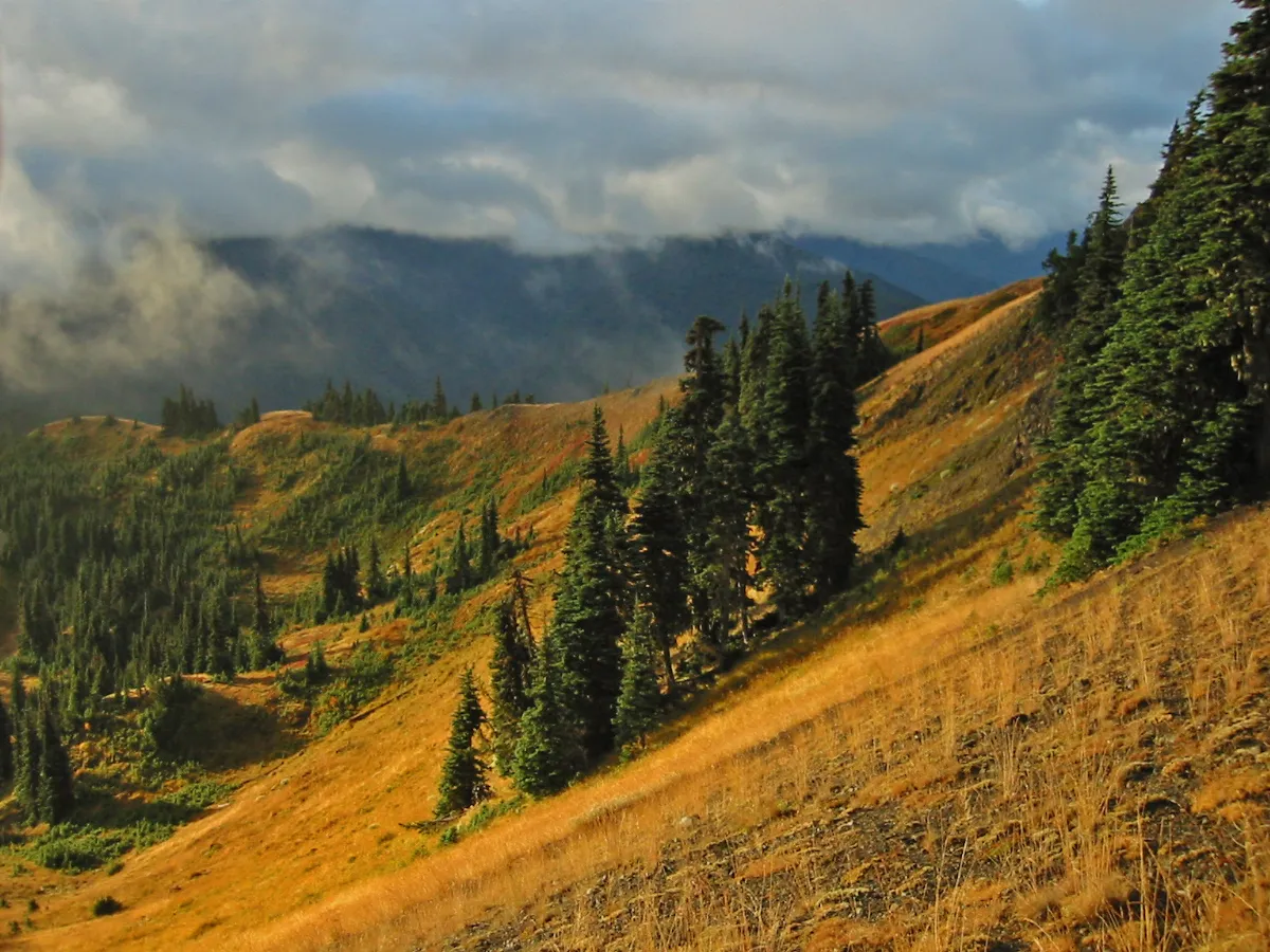 The Hurricane Ridge
