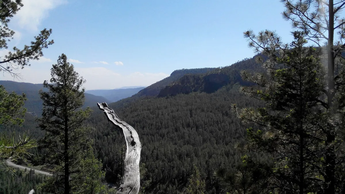 The Jemez Mountain Trail