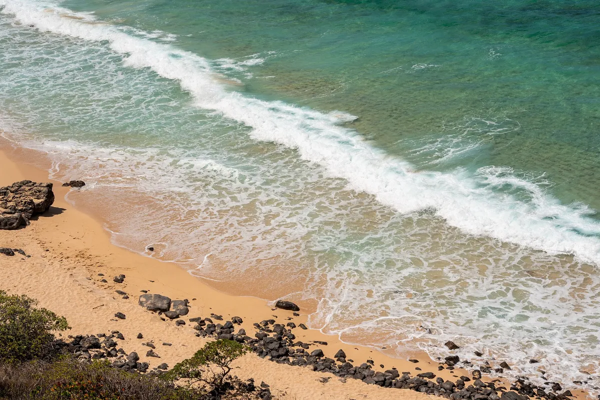 Makapuu Beach (53312032297)
