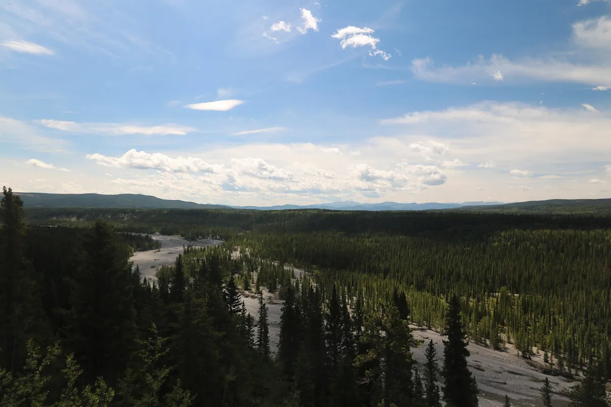 Highway 40 north Alberta Canada (27567346274)