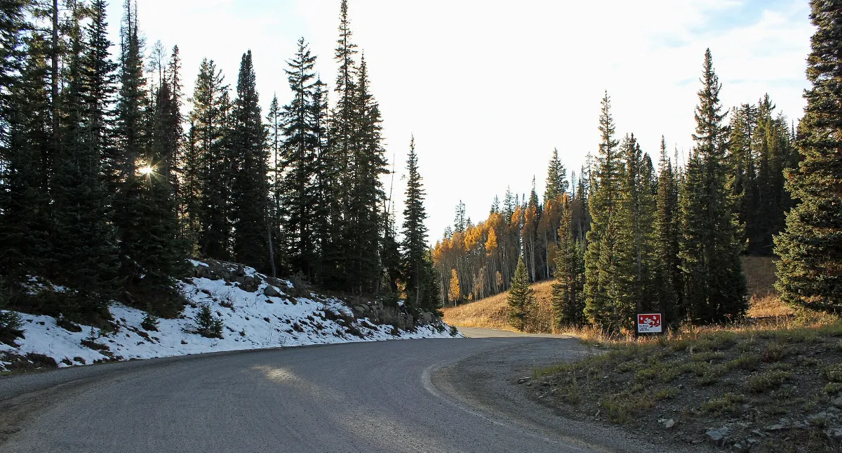 The Kebler Pass