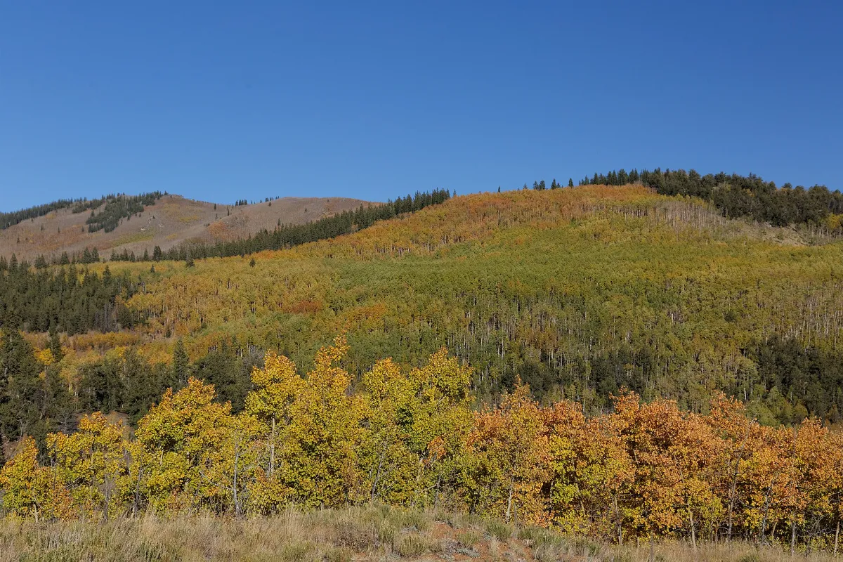 The Kenosha Pass