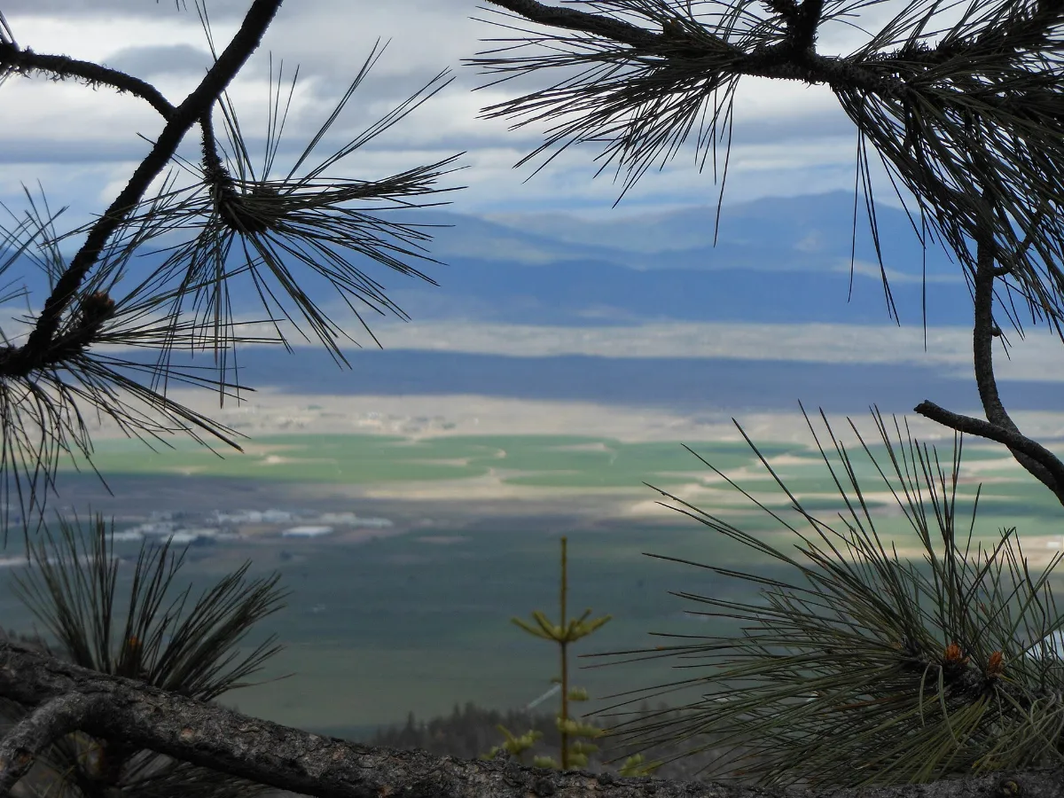View to the east - panoramio (1)