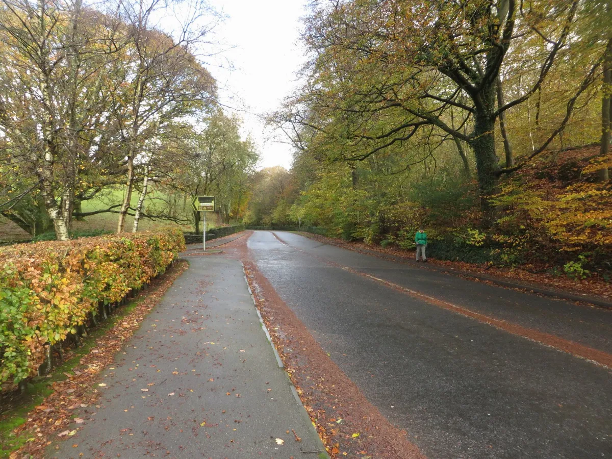 Rayrigg Road, south of Bowness - geograph.org.uk - 4305851
