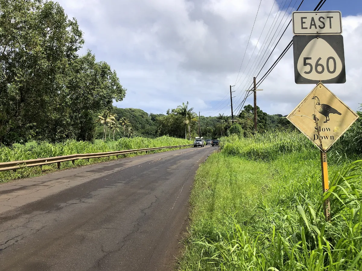 The Kuhio Highway
