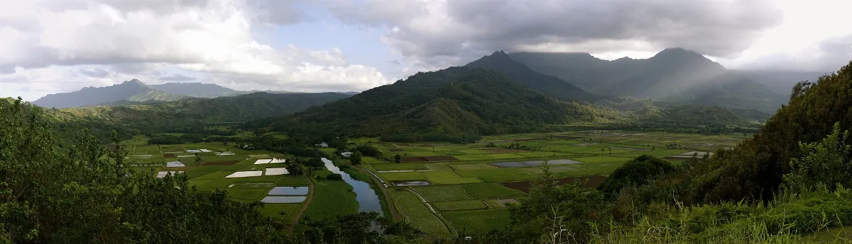 Hanalei Valley (455129604)
