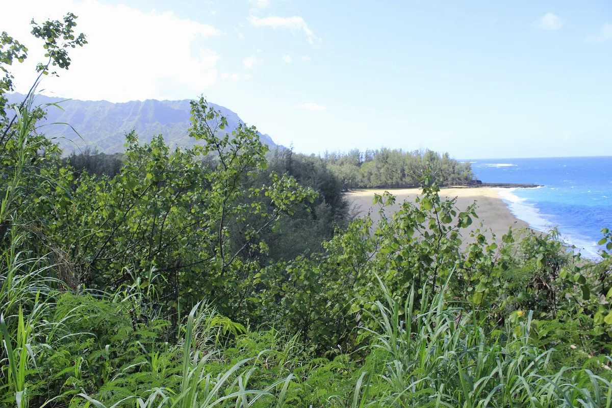 Hanalei, Kauai, Hawaii - panoramio (17)