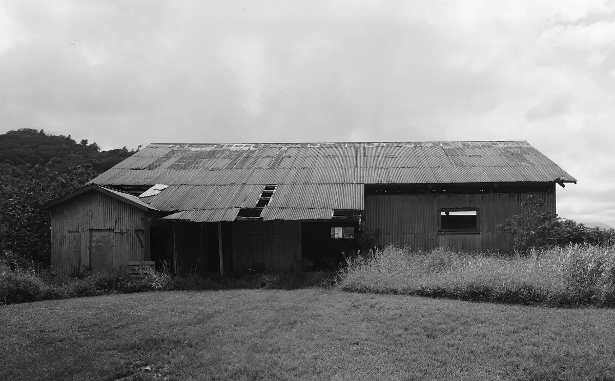 Haraguchi Rice Mill, Hanalei River, Hanalei (Kauai County, Hawaii)