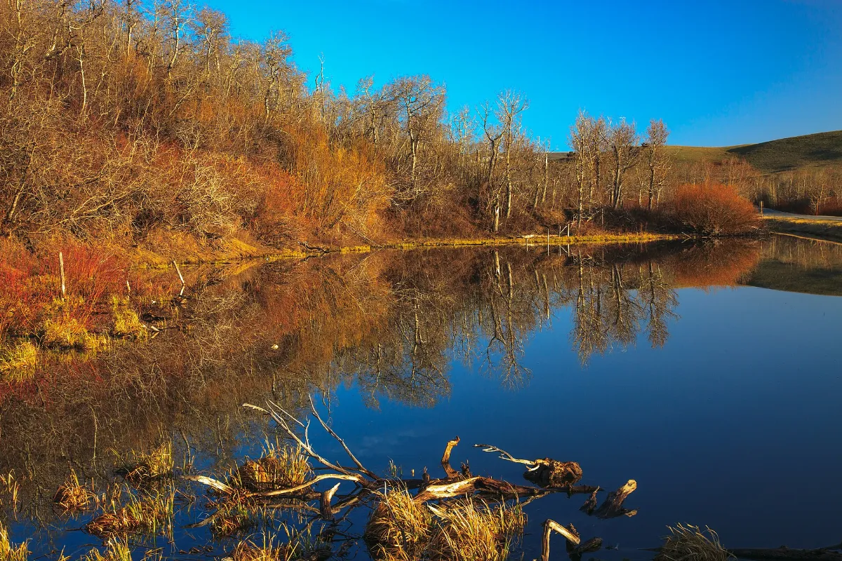 Hwy 89, NW Montana (16173355875)