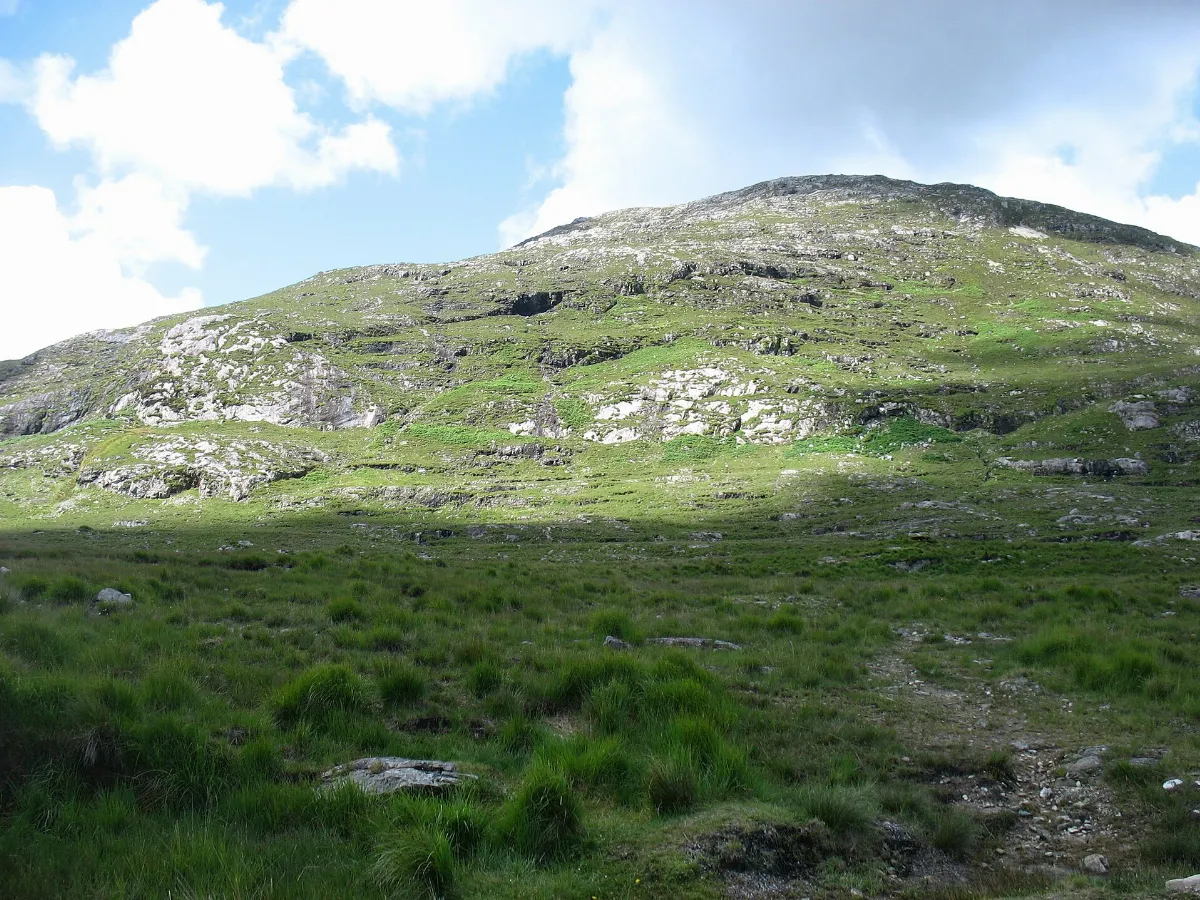 The lower slopes of Corcogemore - geograph.org.uk - 4085107