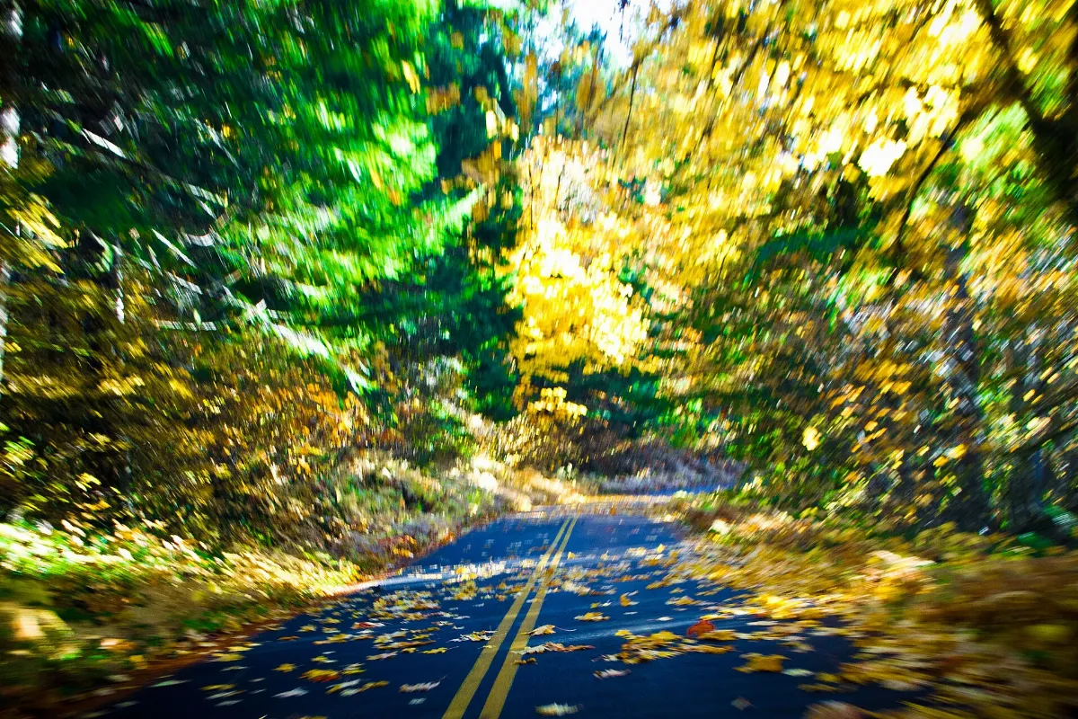 The Mckenzie Pass Highway