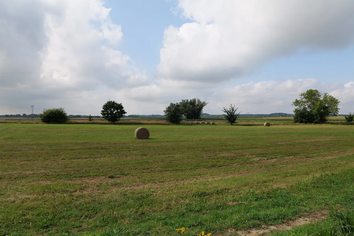 The Mecklenburg Coast Avenues