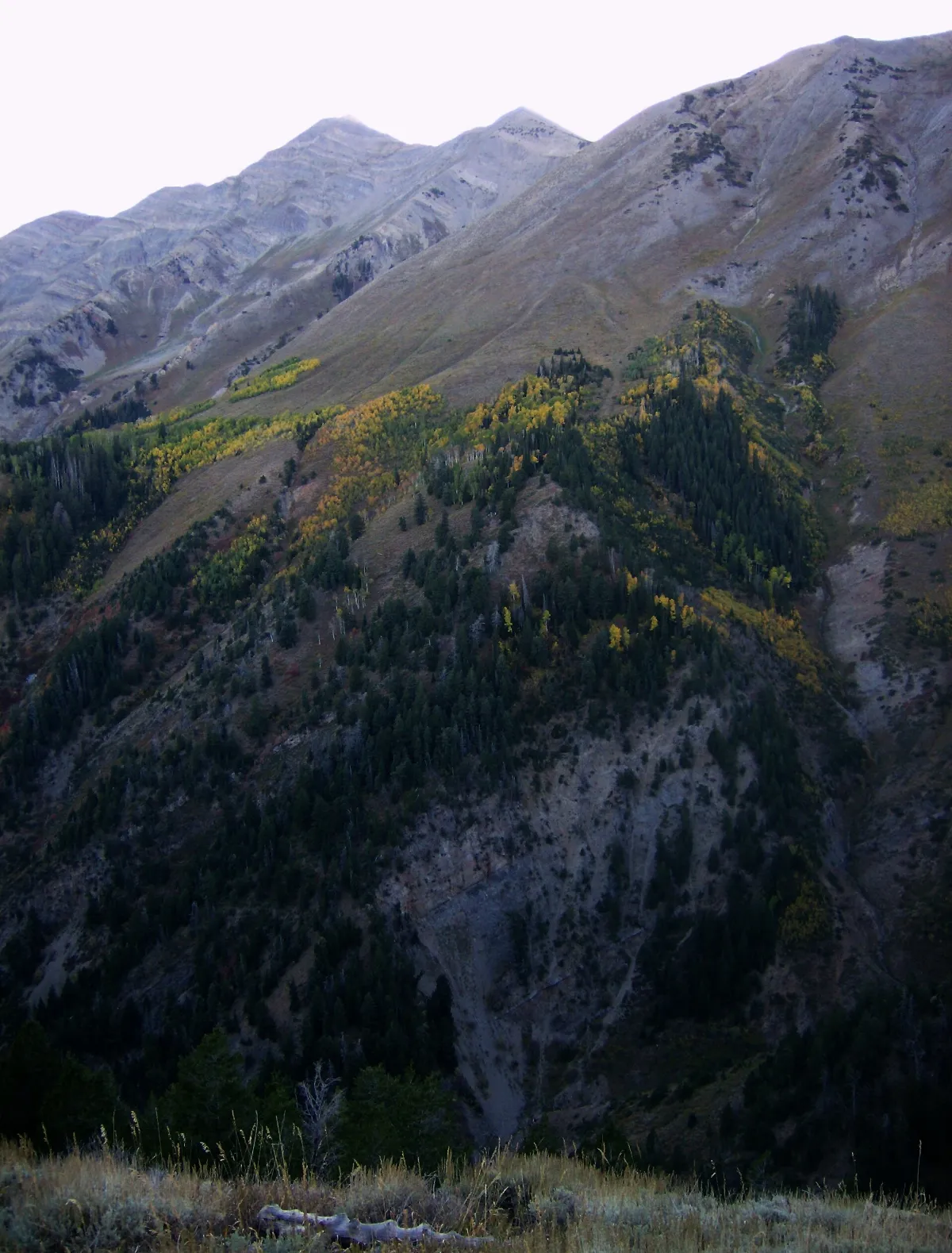 The Nebo Loop