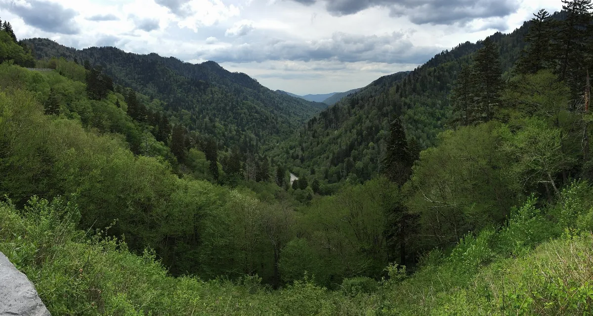 2017-05-17 15 46 49 Panoramic view west-northwest down the valley of Walker Camp Prong from the Morton Overlook along Newfound Gap Road within Great Smoky Mountains National Park, in Sevier County, Tennessee
