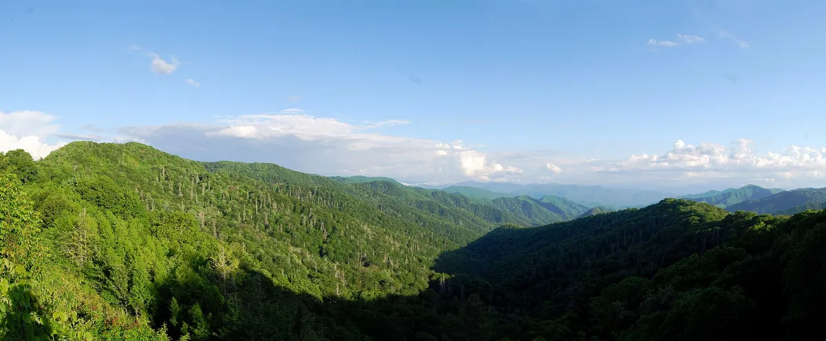 The Newfound Gap Road