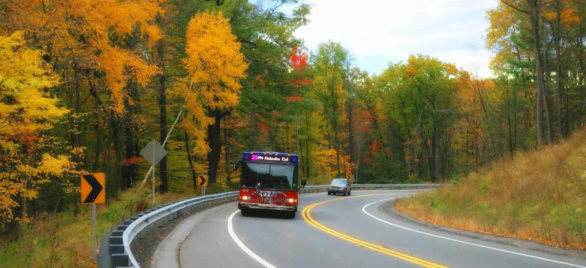 Gillig UMass Amherst