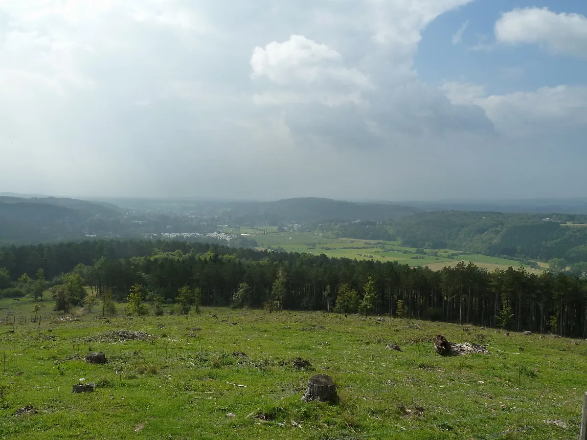 Bomal-Mont des Pins (3)