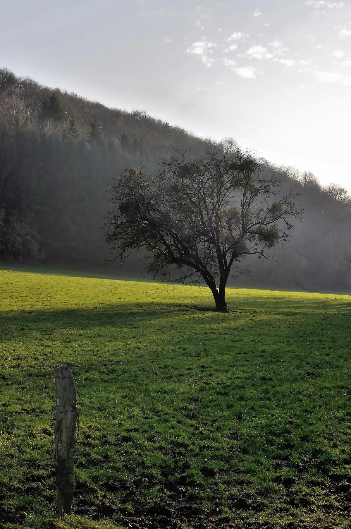 Landscape in Barvaux during winter