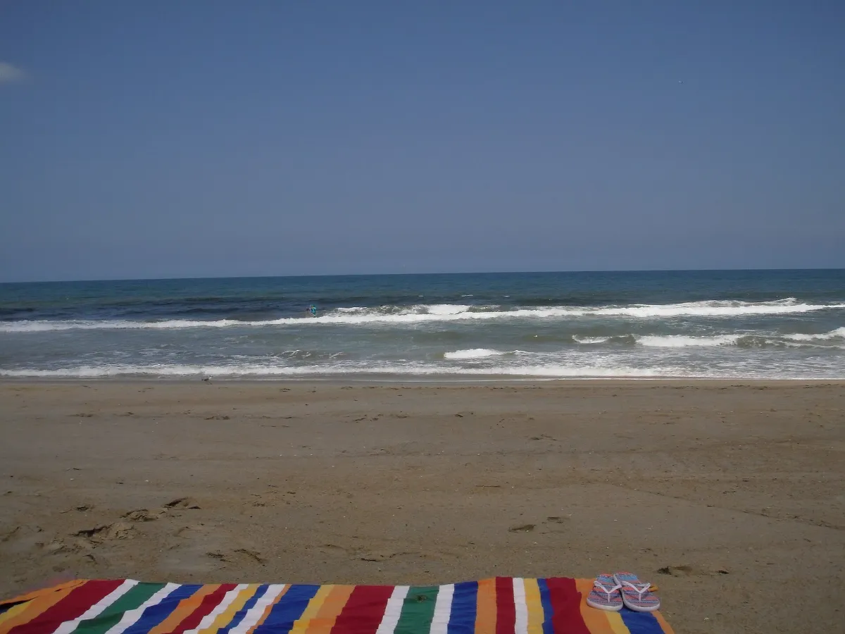 Any Beach Day -is a Great Day - panoramio