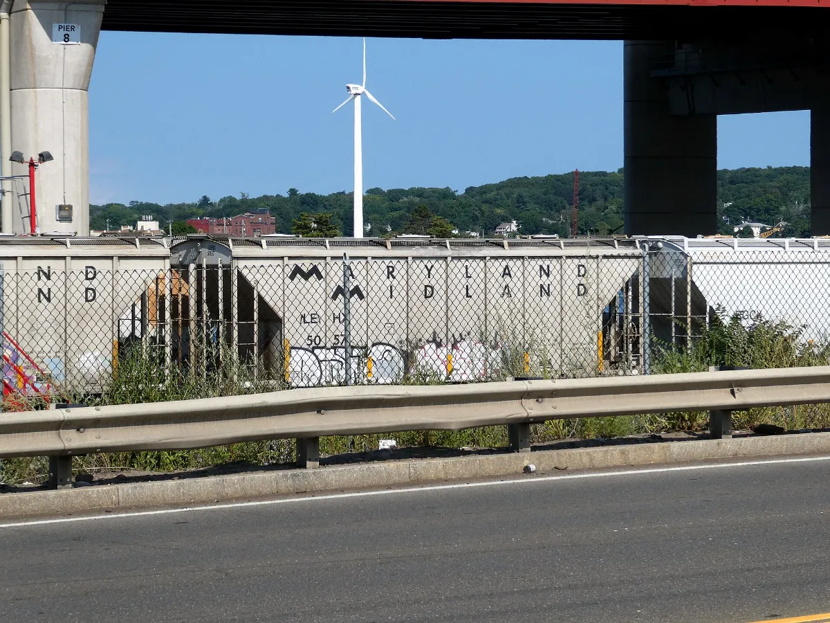 Maryland Midland hoppers on the Belle Dock Branch, August 2022