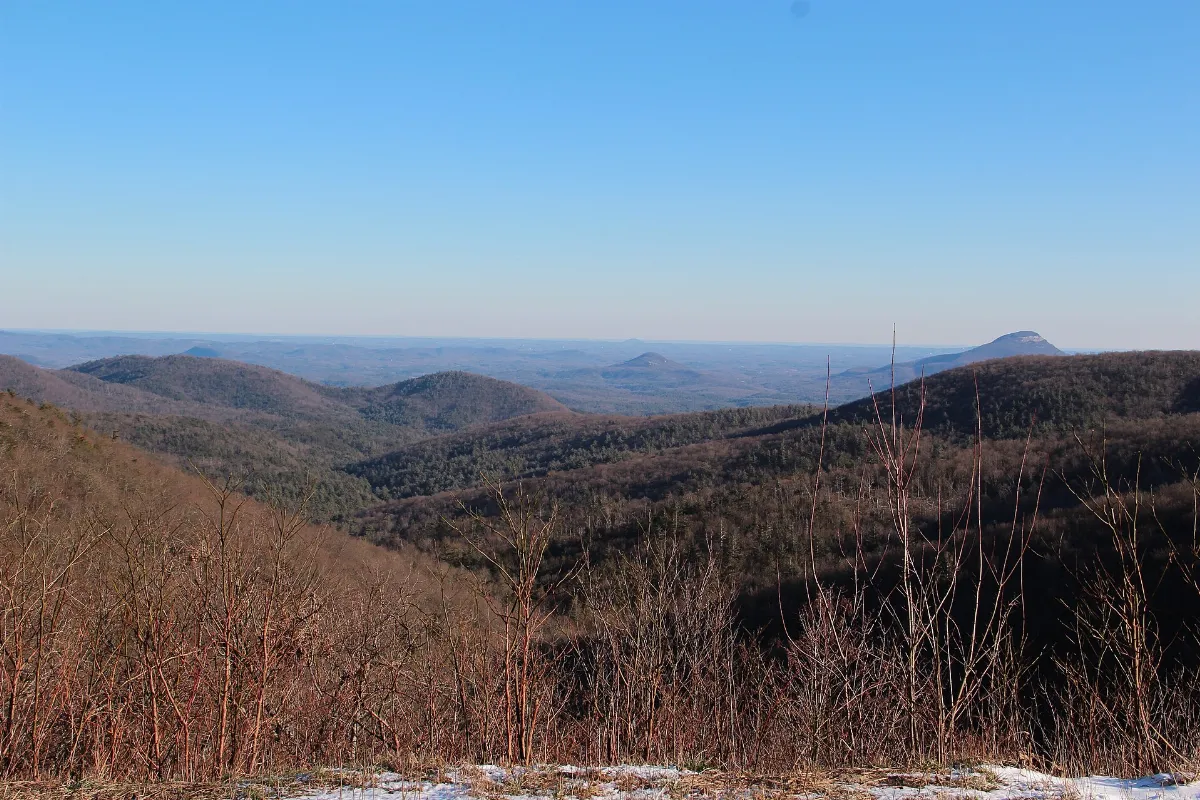 Richard B. Russell Scenic Highway view