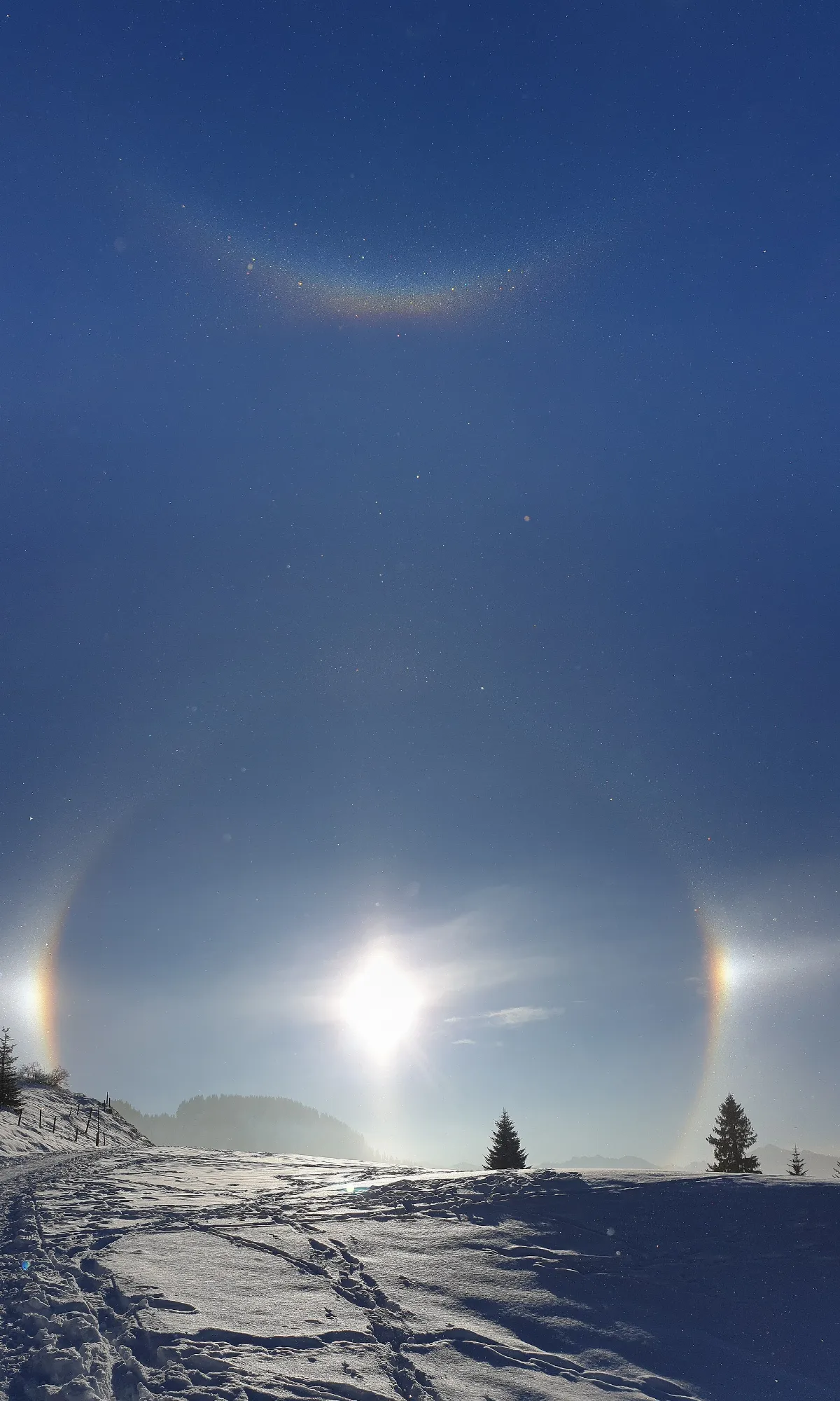 Halo Grasgehen