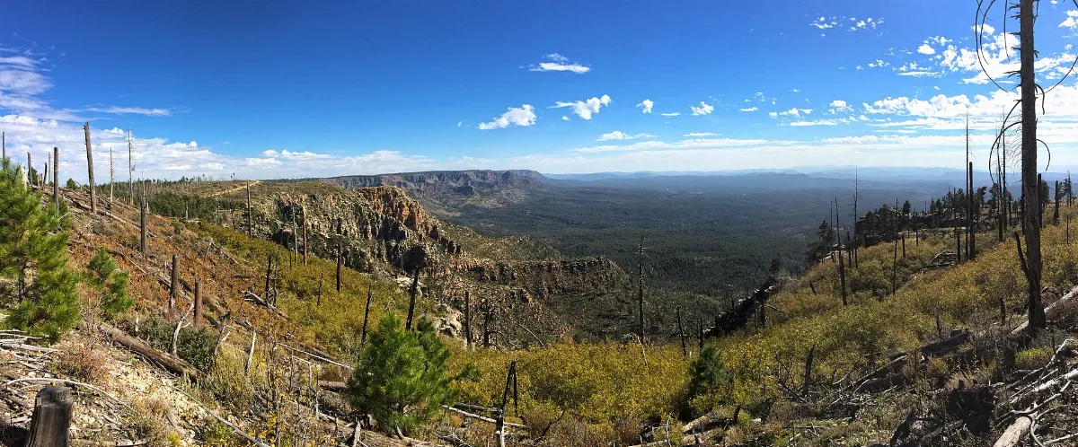 The Rim Road