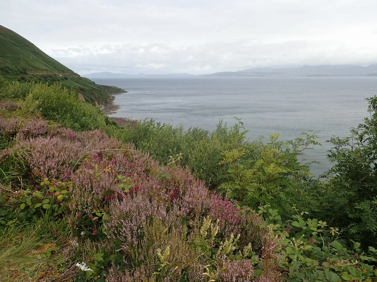 The Mountain Stage Viewpoint on the Ring of Kerry - geograph.org.uk - 7864476