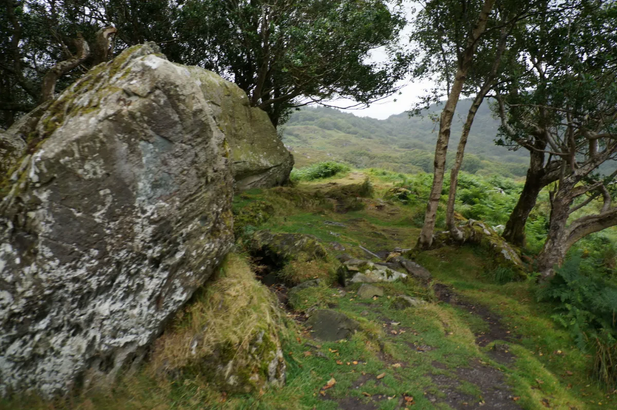 Path leading to the Ring of Kerry - geograph.org.uk - 4147457