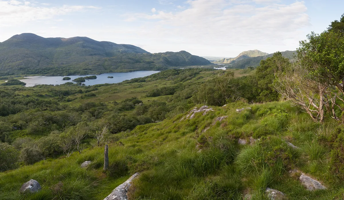 Killarney National Park - Looking towards Upper Lake - geograph.org.uk - 8227067