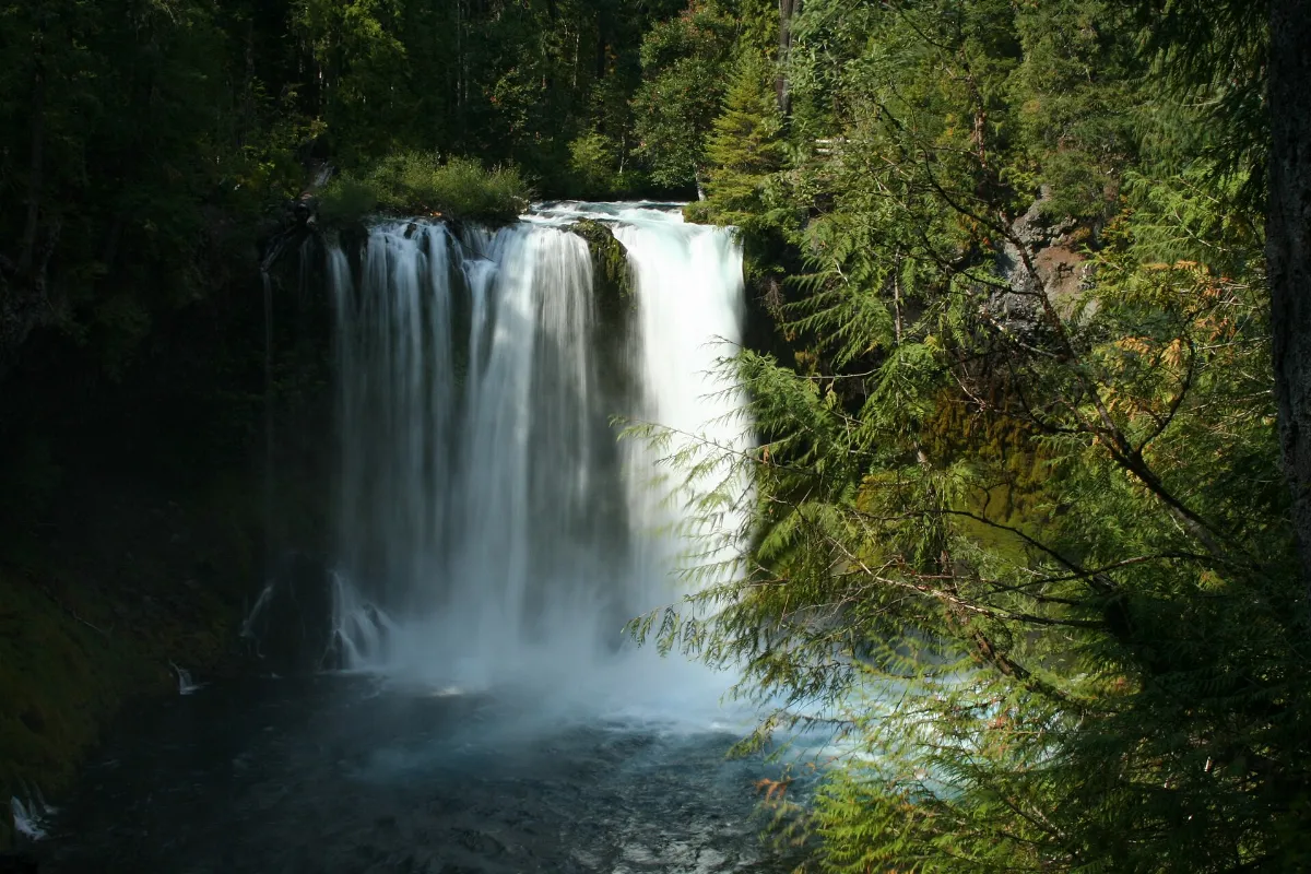 Koosah Falls, McKenzie River