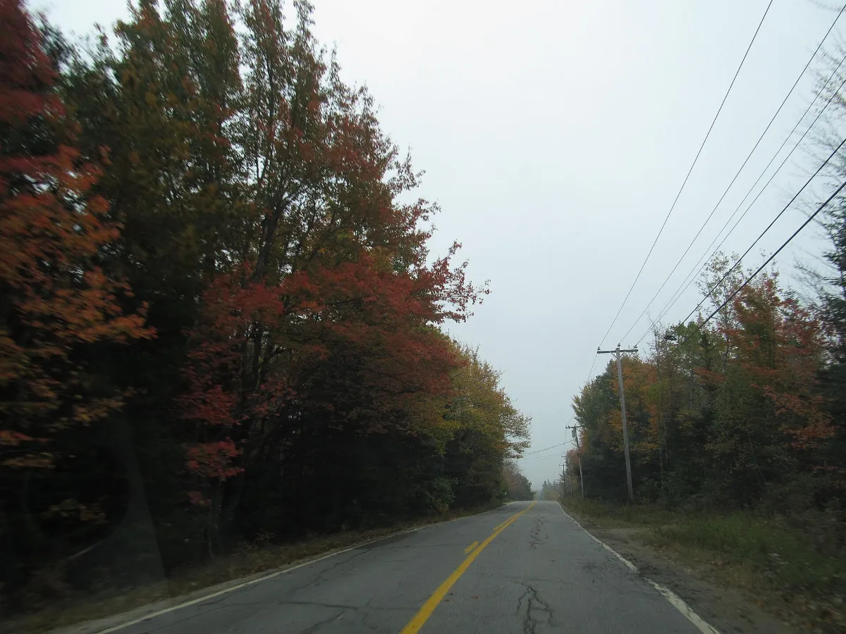 Maine State Route 186 - 8159960618