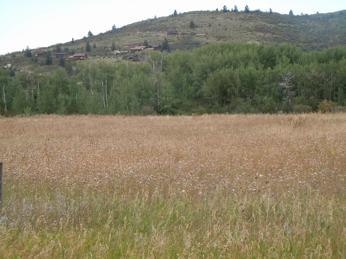 The Teton Pass