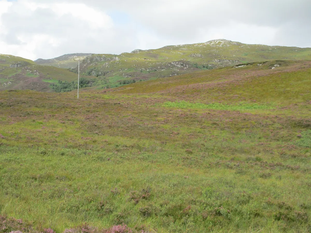 Moorland above Lochcarron - geograph.org.uk - 4127792