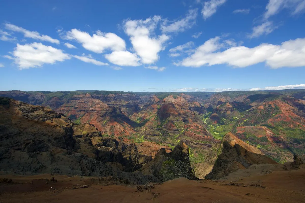 Kauai (7635479092)