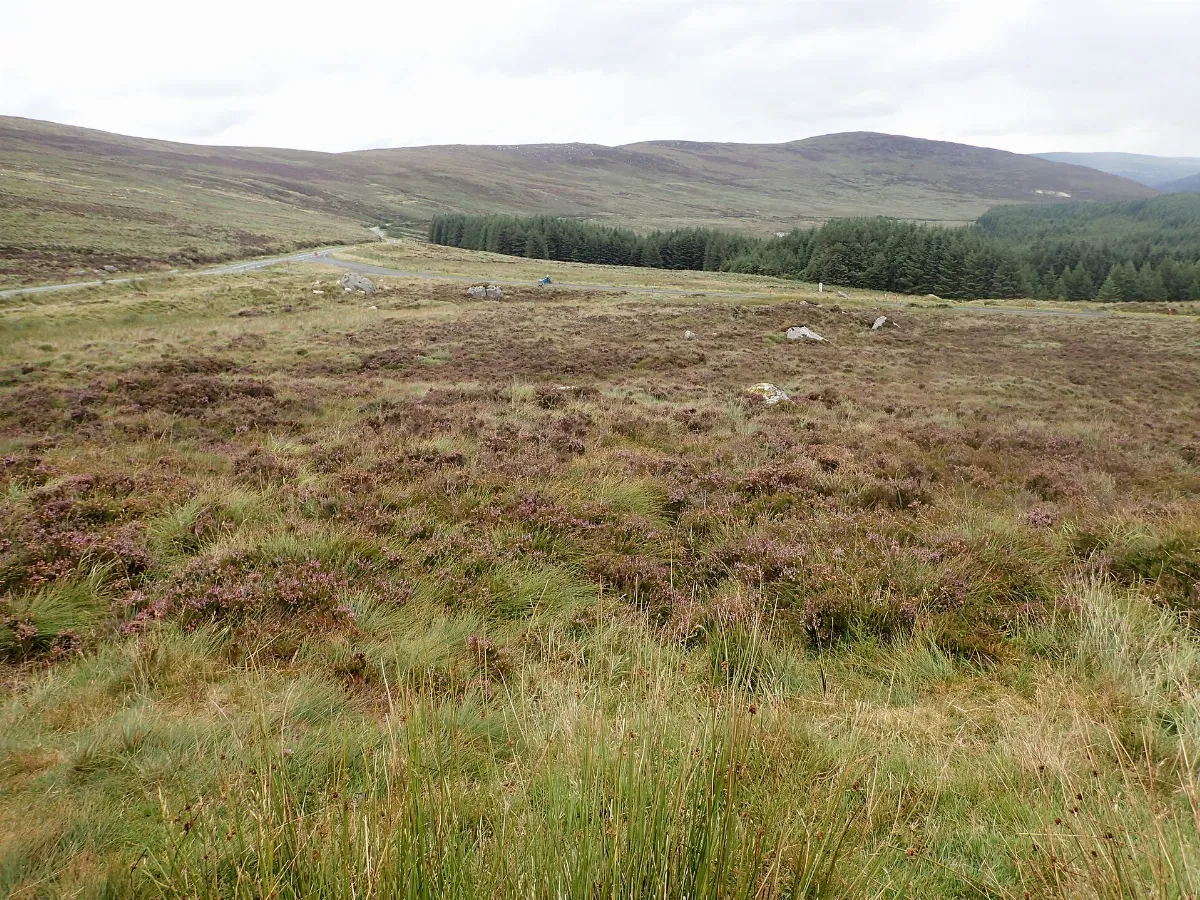 The Wicklow Gap