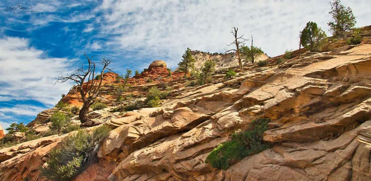 Zion - 2