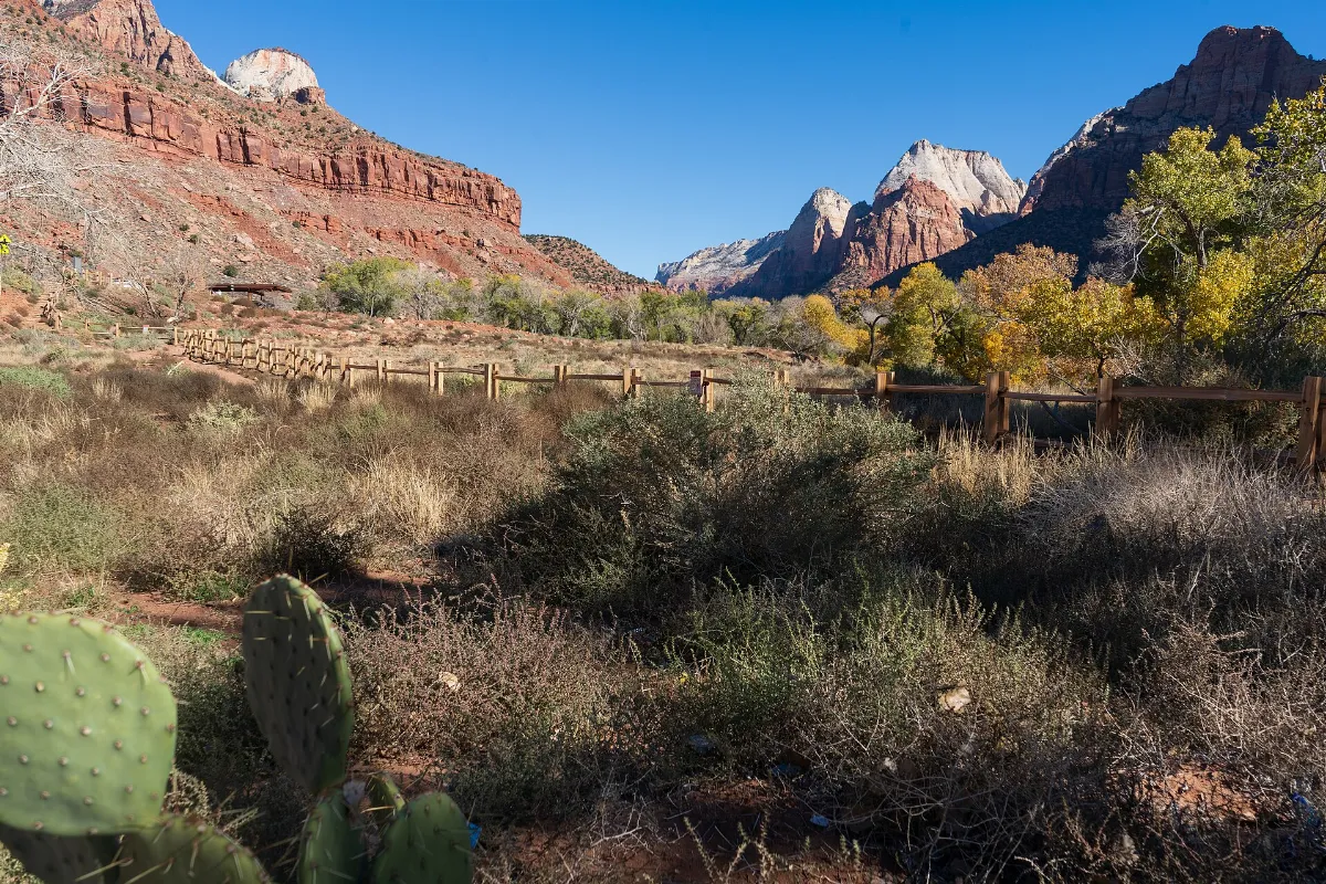 Zion National Park 221111114257 (52523988912)
