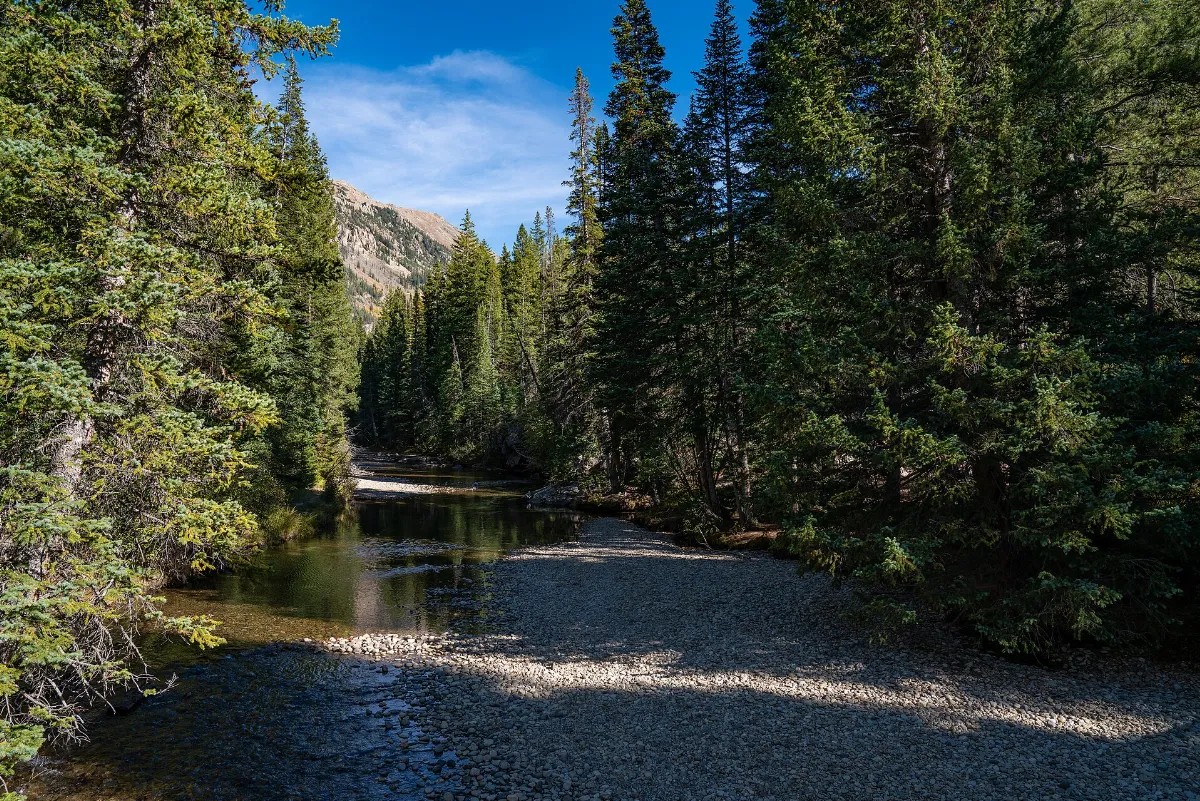 Roaring Fork River (Grottos Day Use Area) on Independence Pass, Colorado (30624681277)