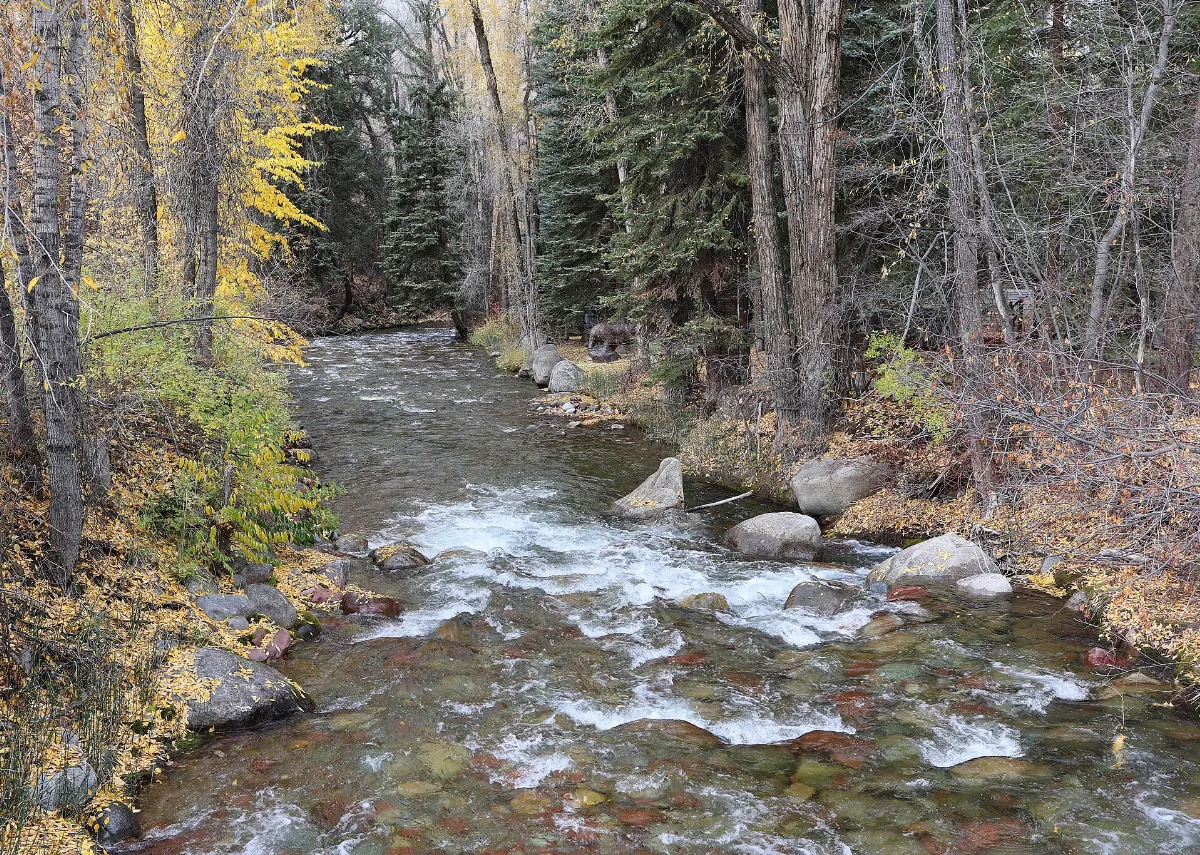 Castle Creek (Roaring Fork River tributary)