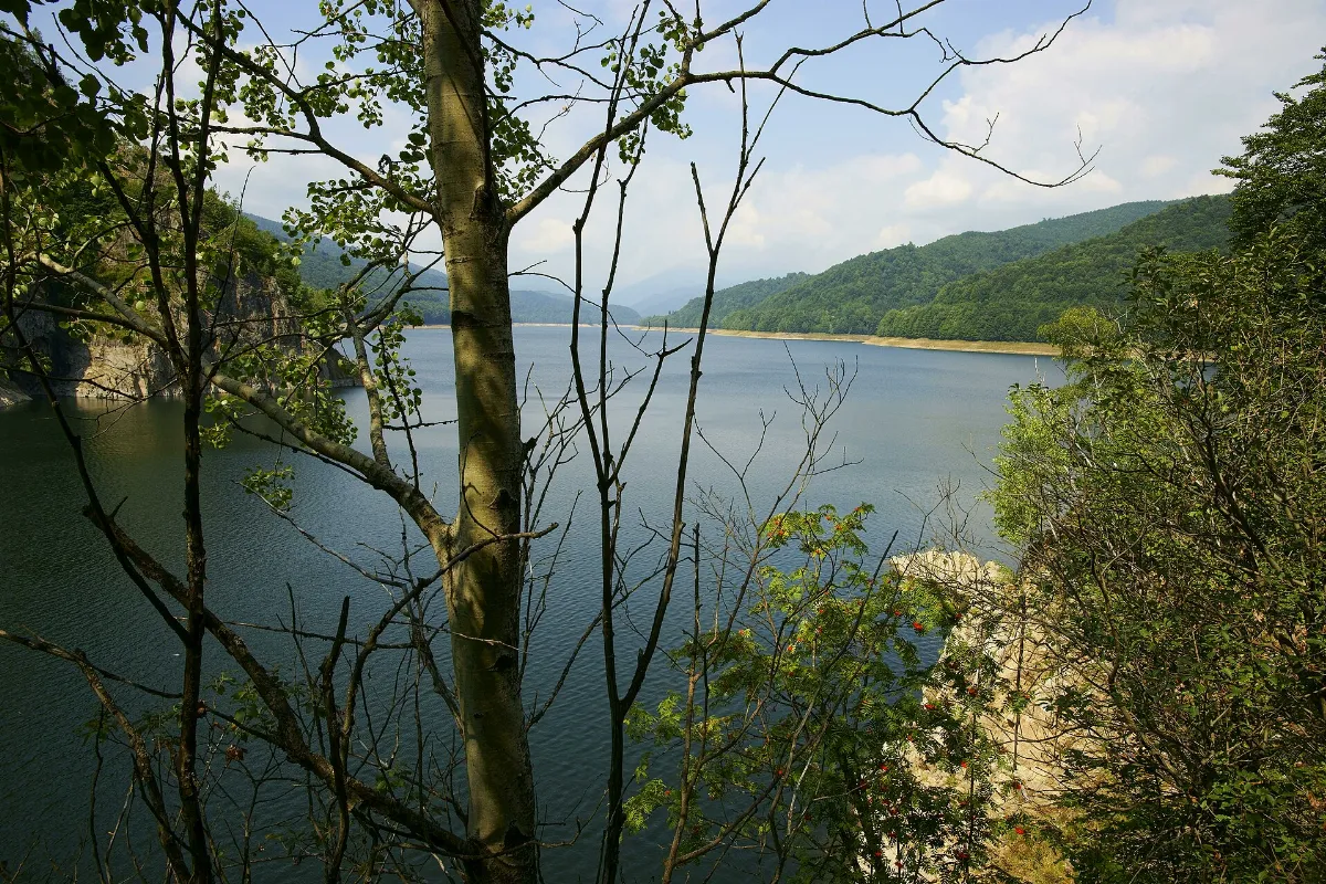 Lake Vidraru - Lacul Vidraru - panoramio
