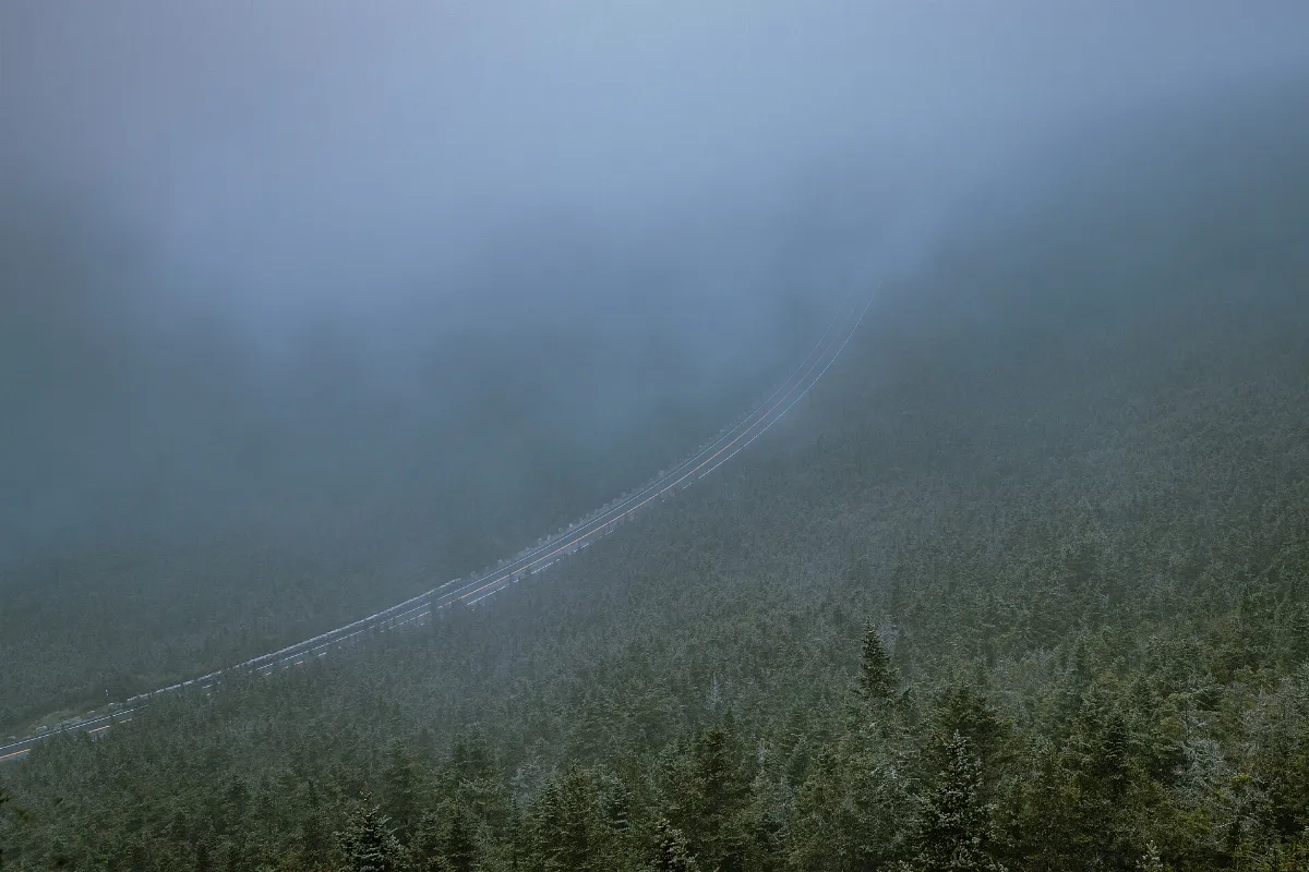 Mist (51733559863)