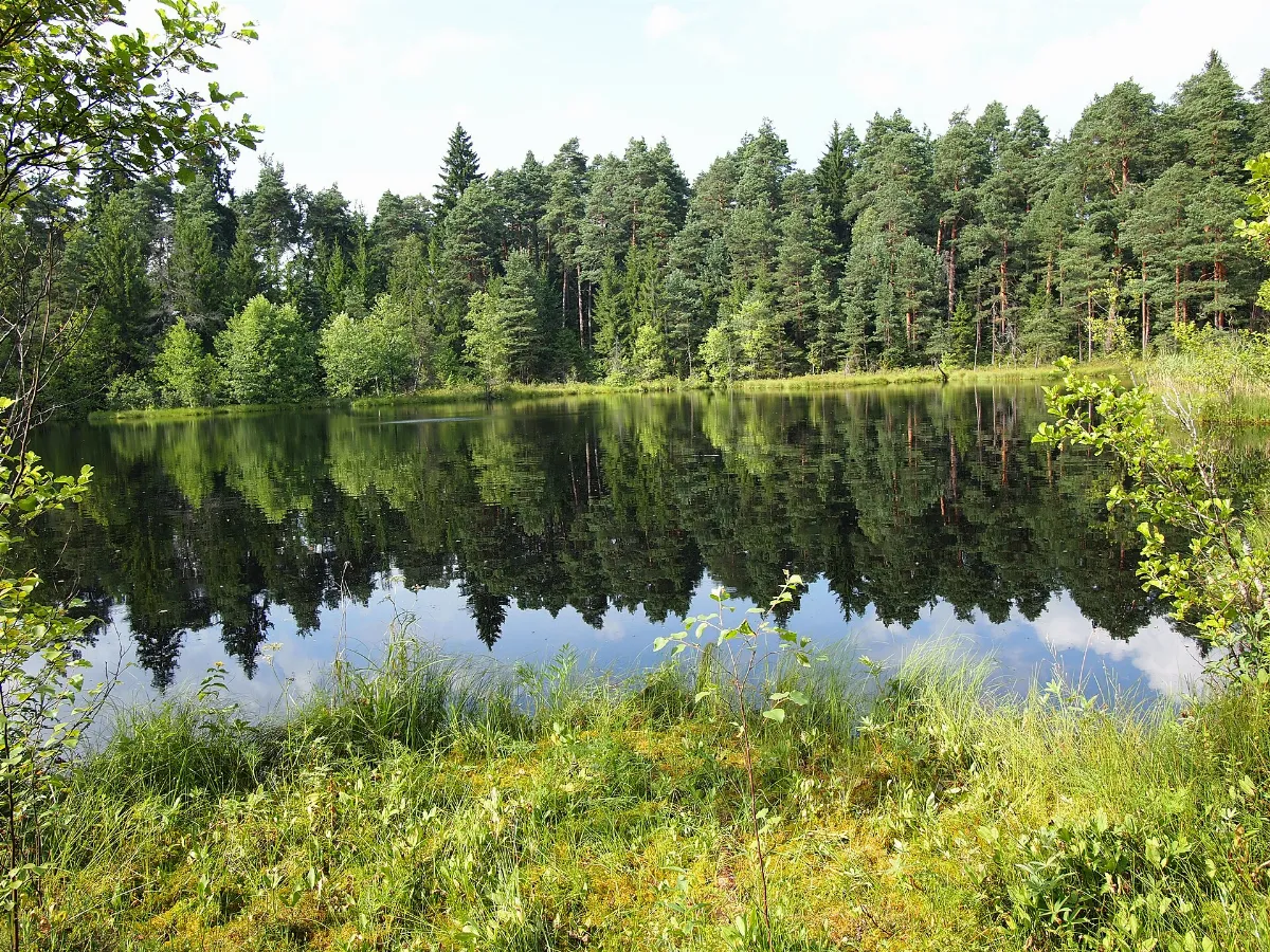 Suchar lake - panoramio (2)