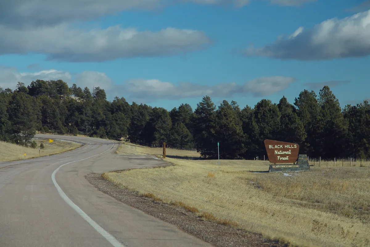 SD89 North - Black Hills National Forest Sign