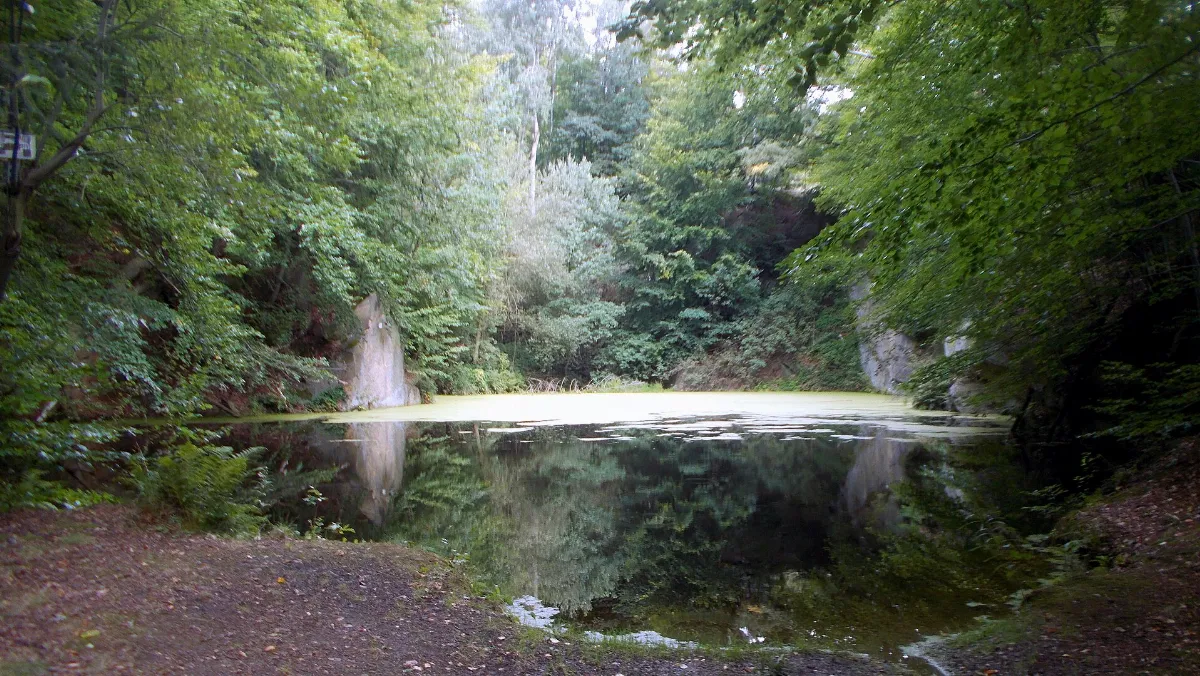 2017 Rammenau Alter Steinbruch Kuppe zum Hochstein
