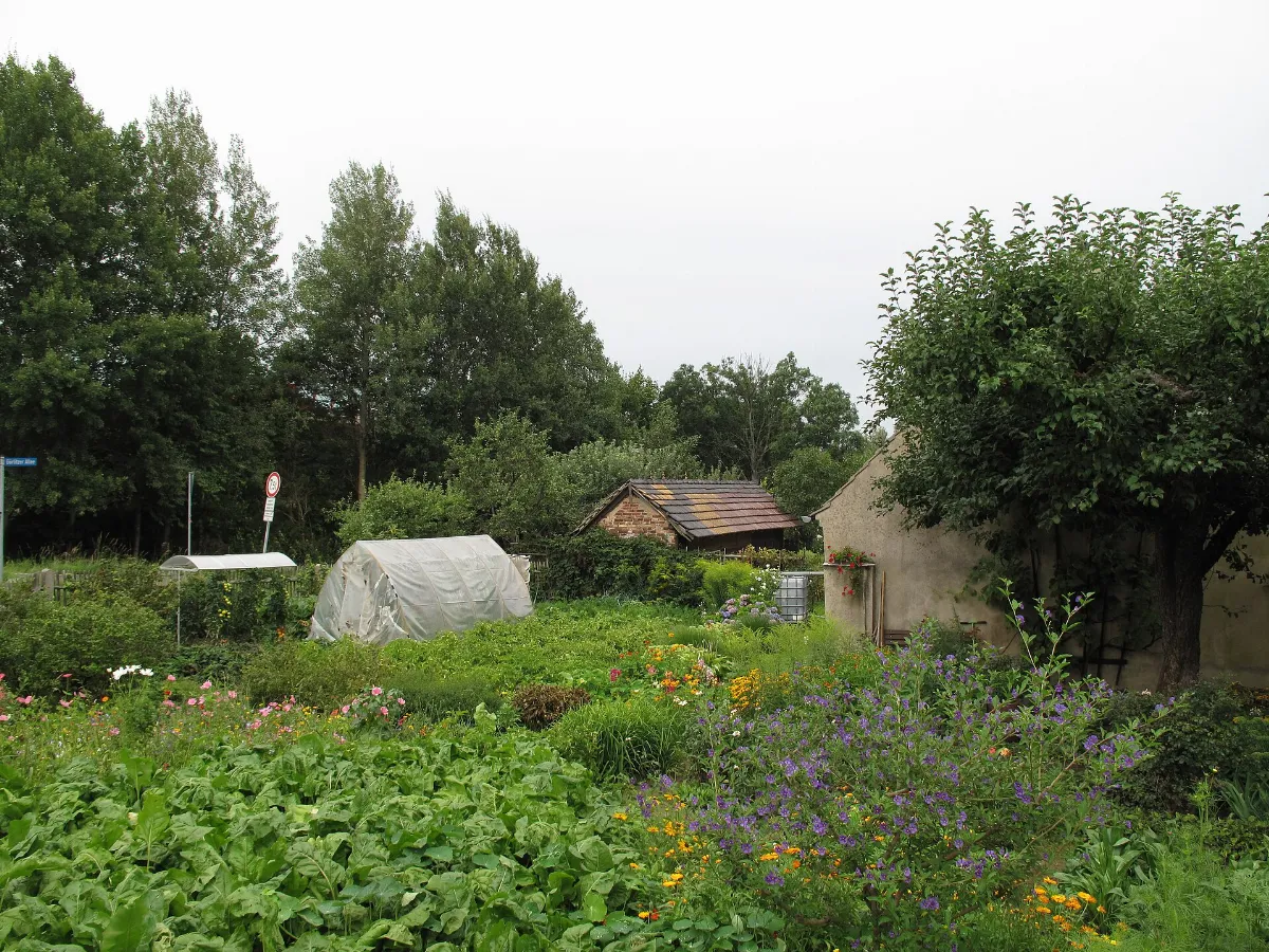 Kodersdorf Bienenhaus (01)
