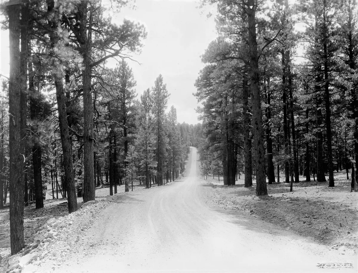 The Grand Canyon Highway (5554323578)