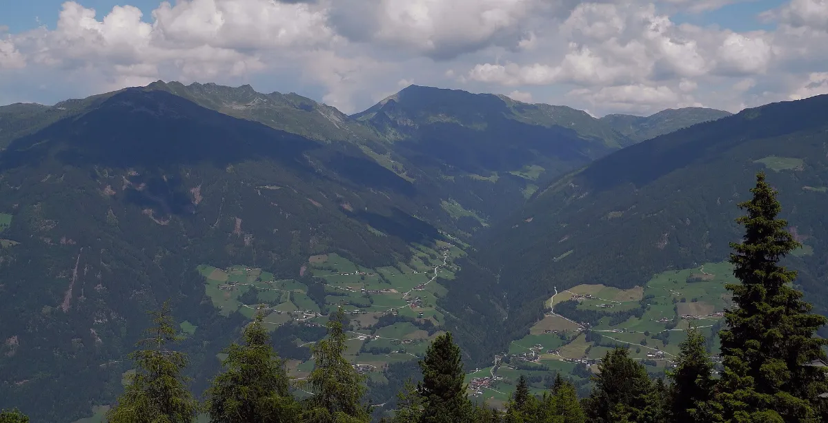 T-ZHS-Blick-16